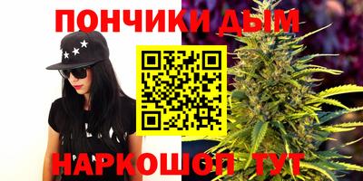прущие крисы Будённовск