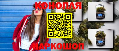 прущие крисы Будённовск