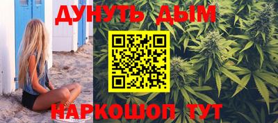 прущие крисы Будённовск