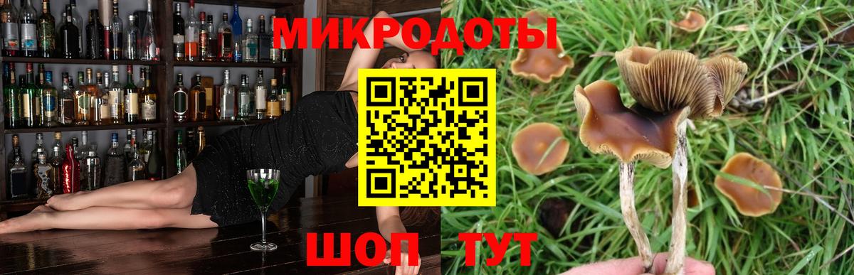 Галлюциногенные грибы Psilocybine cubensis Людиново