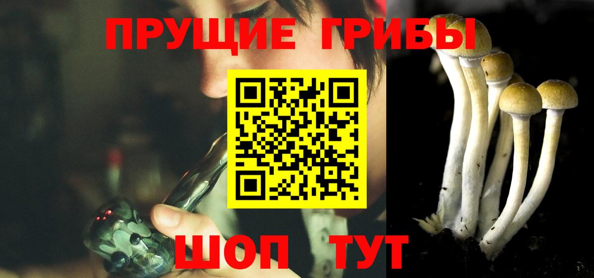 Людиново  Псилоцибиновые грибы мухоморы  Вход с VPN  Галлюциногенные грибы Psilocybine cubensis 